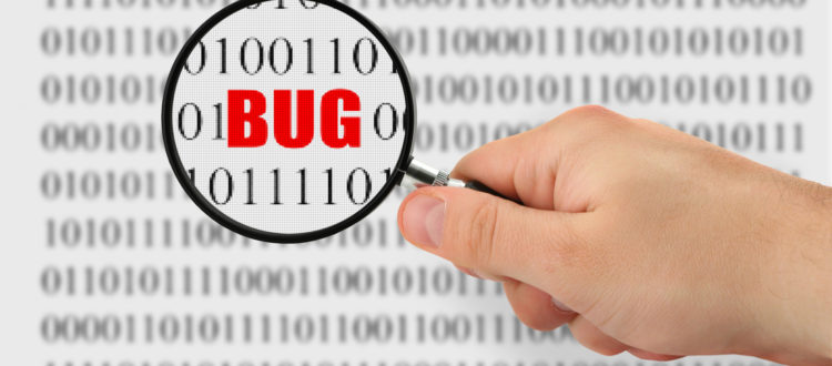 searching for bug