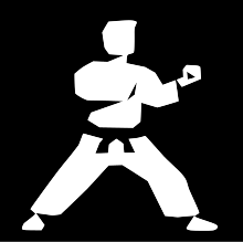 220px-Karate_software_logo.svg